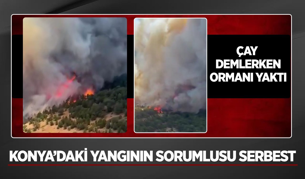 Çay demlerken ormanı yaktı! Konya’daki yangının sorumlusu serbest