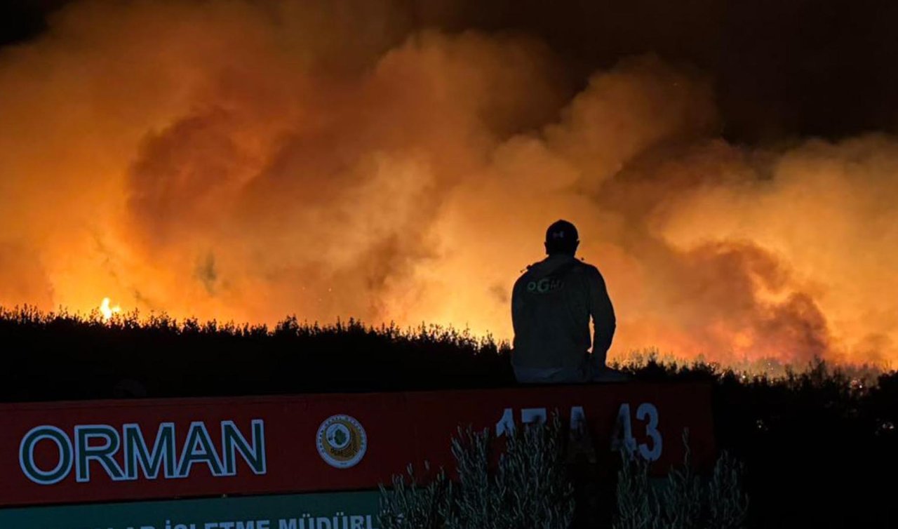 Tekirdağ’daki orman yangını kontrol altına alındı