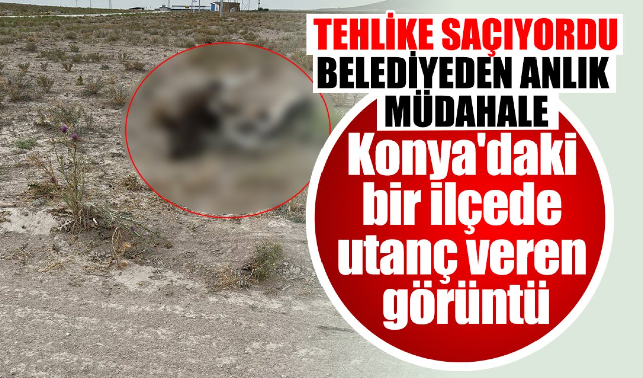Konya’daki bir ilçede utanç veren manzara! Belediyeden anlık müdahale geldi