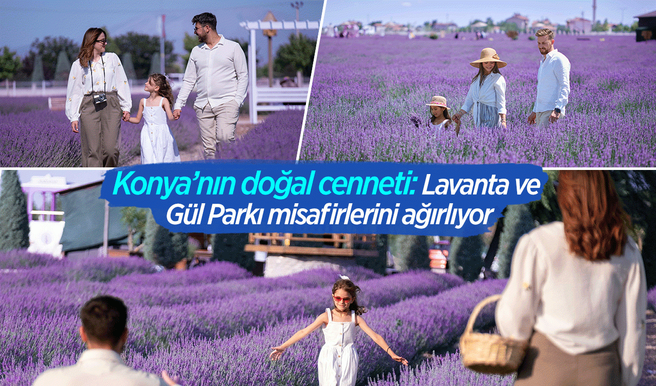 Konya’nın doğal cenneti: Lavanta ve  Gül Parkı misafirlerini ağırlıyor