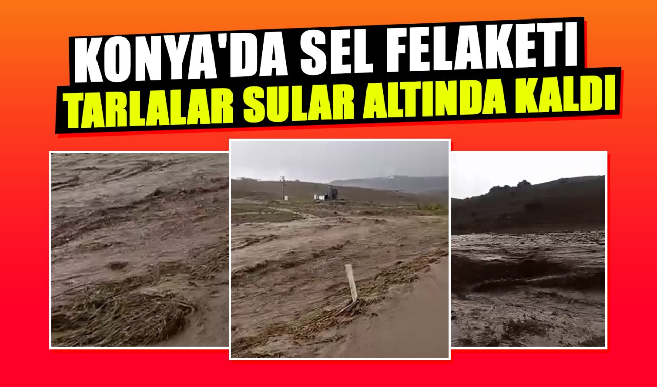 Konya’da sel felaketi: Tarım arazileri zarar gördü