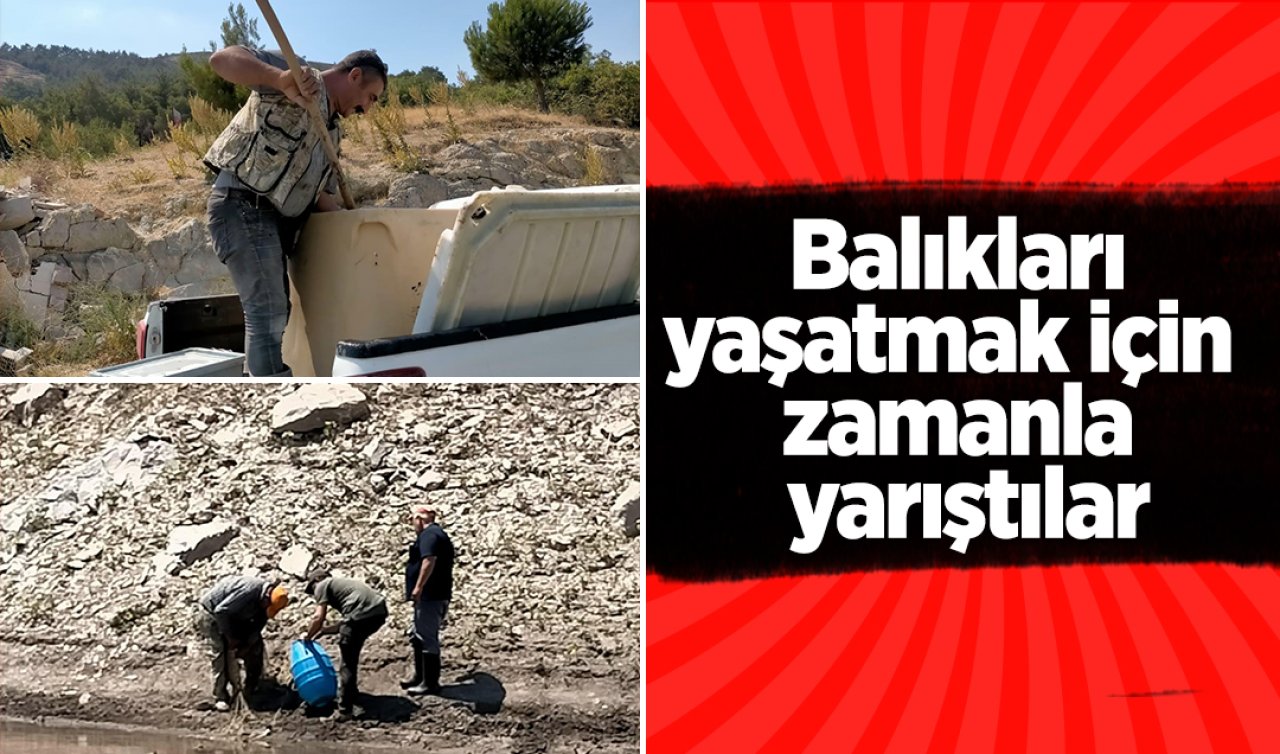  Balıkları yaşatmak için zamanla yarıştılar
