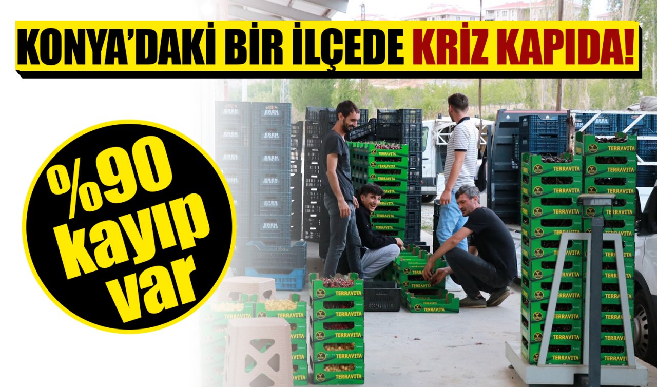 Konya’daki bir ilçede kriz kapıda! %90 kayıp var