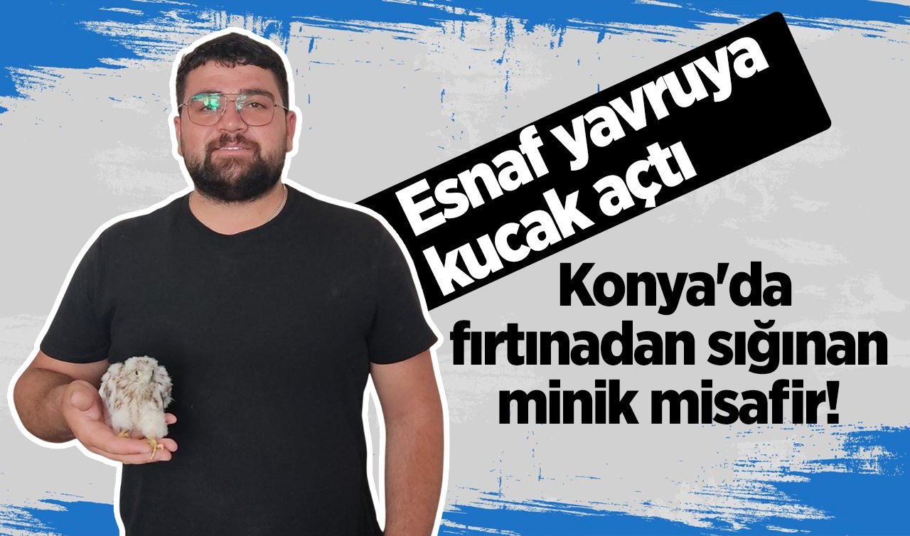 Konya’da fırtınadan sığınan minik misafir! Esnaf yavruya kucak açtı