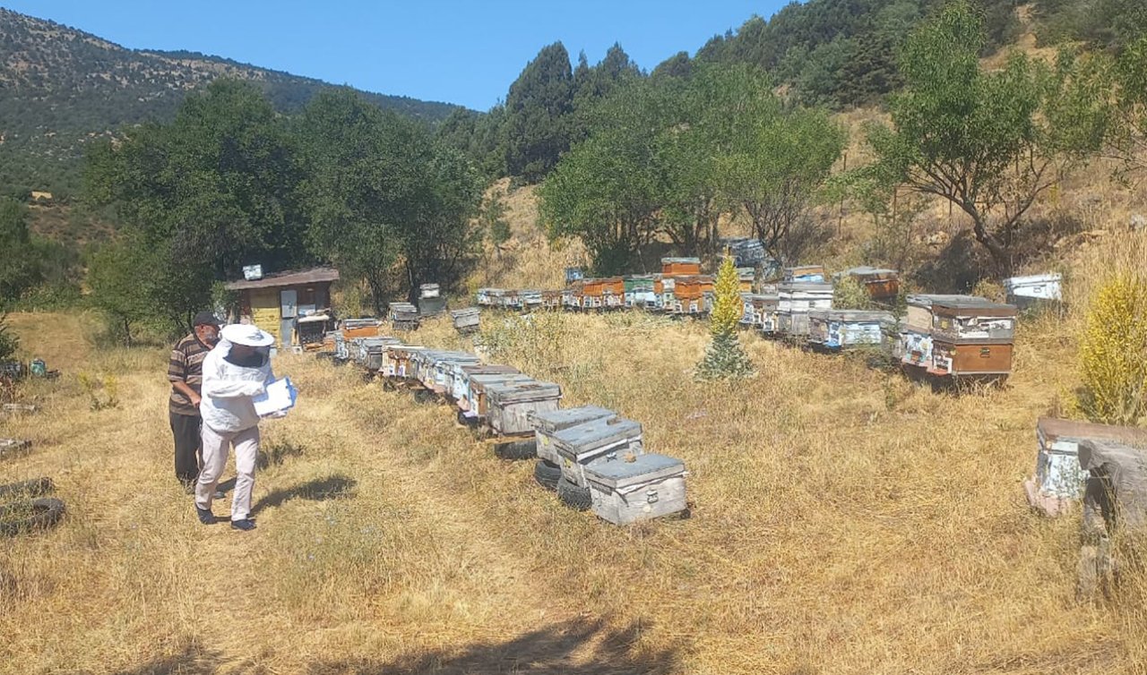 Konya’da ekipler sahaya indi! Tek tek kayıt altına aldılar