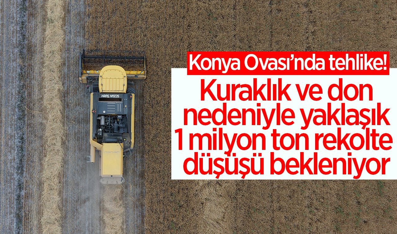 Konya Ovası’nda tehlike! Kuraklık ve don nedeniyle yaklaşık 1 milyon ton rekolte düşüşü bekleniyor 