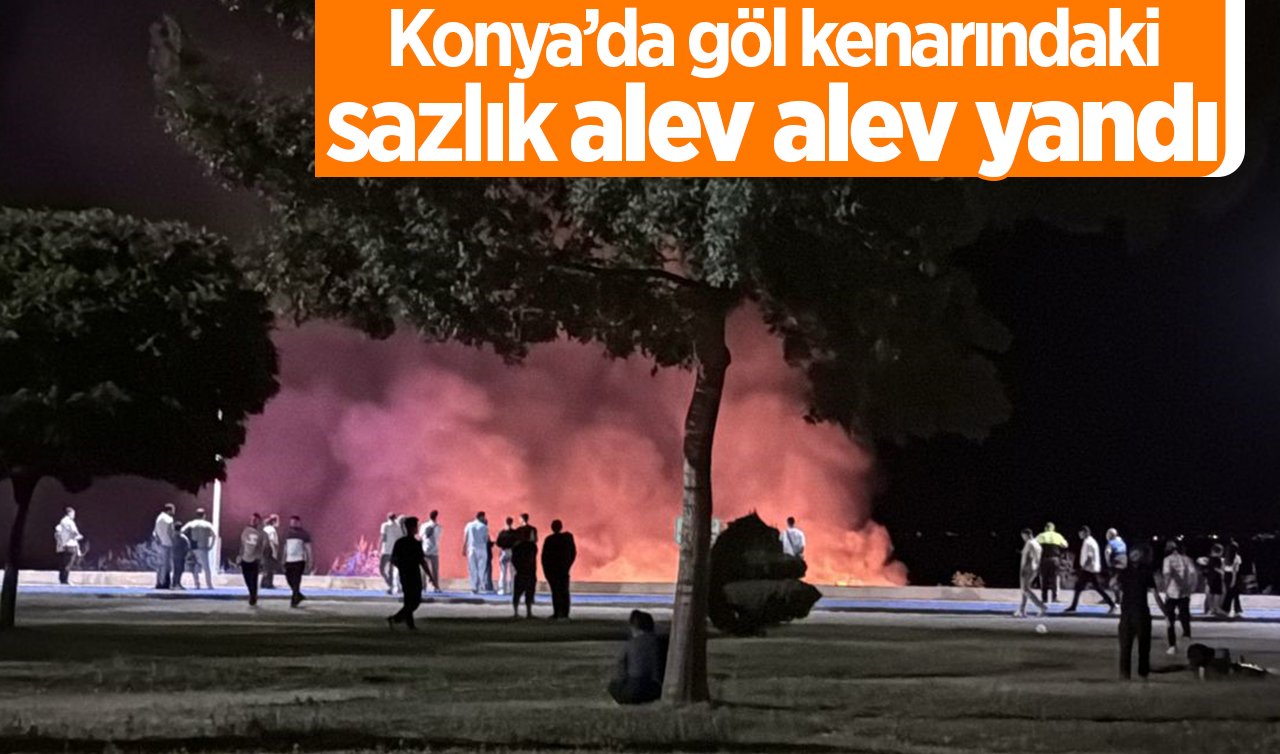  Konya’da göl kenarındaki sazlık alev alev yandı