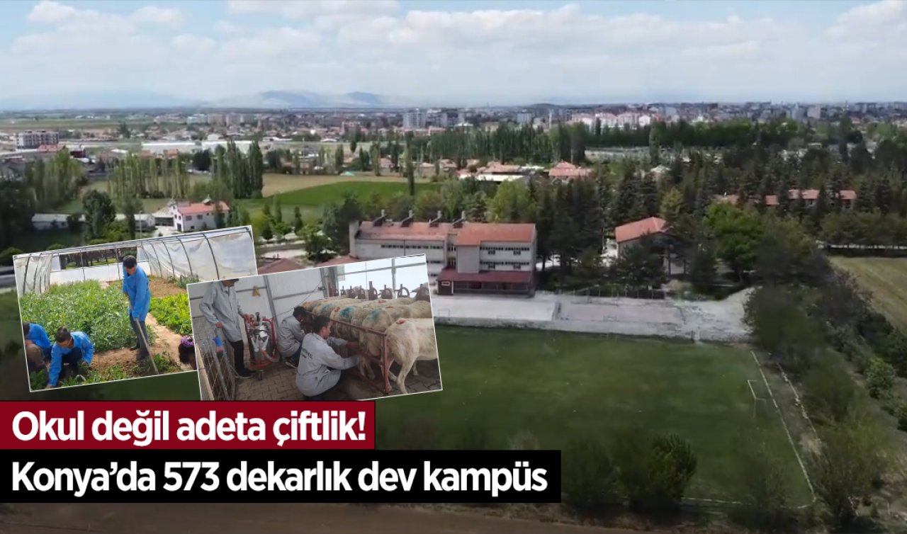 Konya’da 573 dekarlık dev kampüs! Okul değil adeta çiftlik