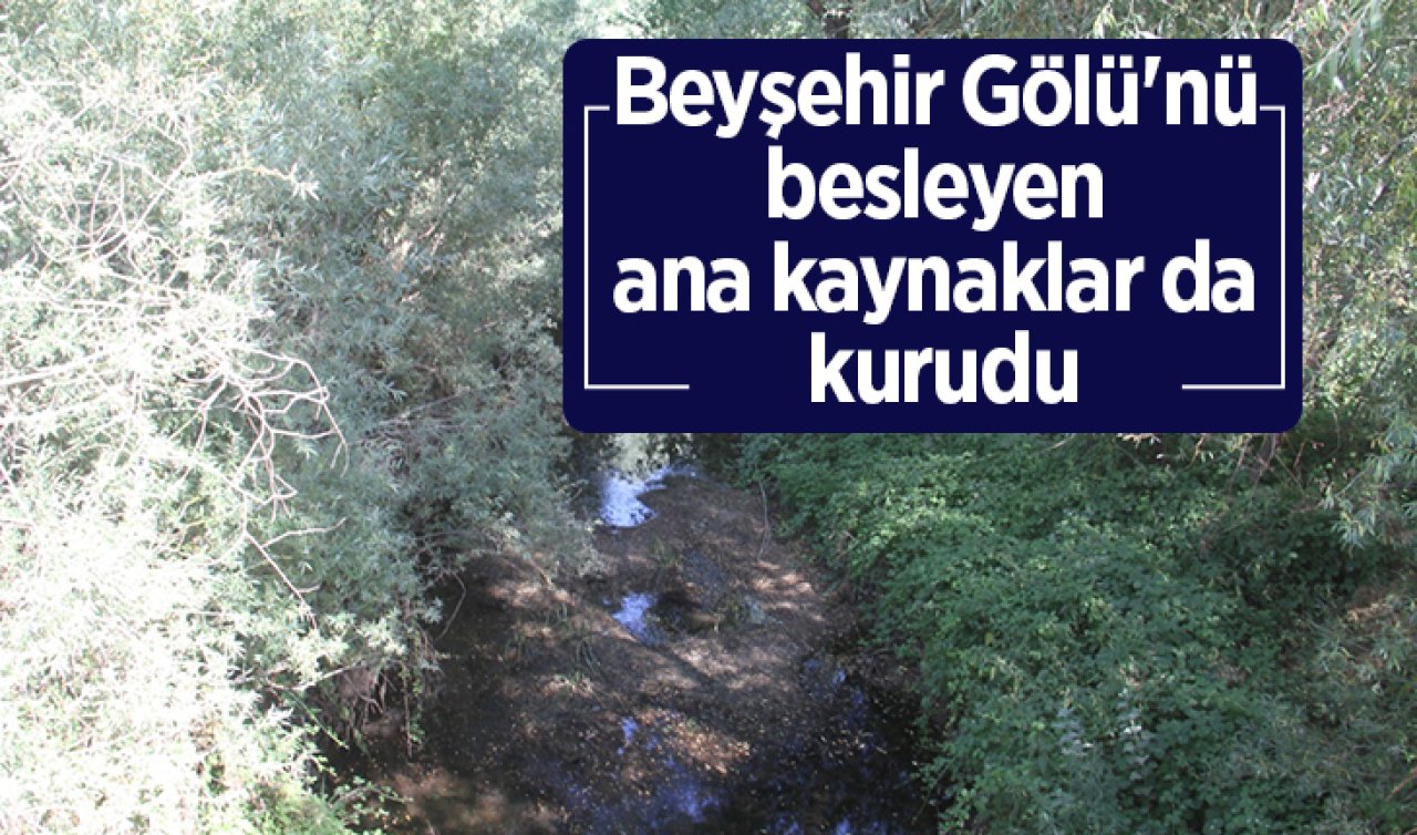 Beyşehir Gölü’nü besleyen ana kaynaklar da kurudu