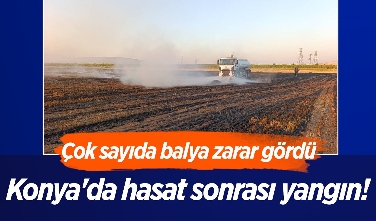 Konya’da hasat sonrası yangın! Çok sayıda balya zarar gördü