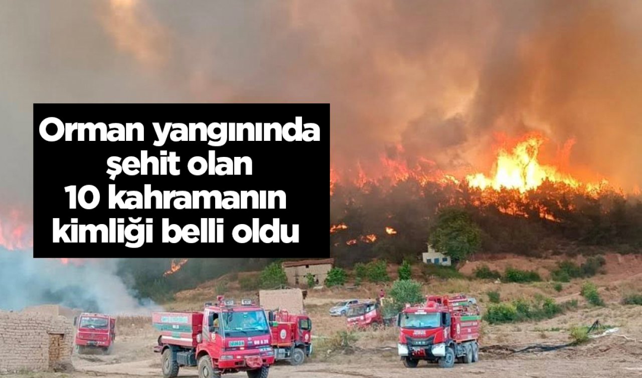 Orman yangınında şehit olan 10 kahramanın kimliği belli oldu 