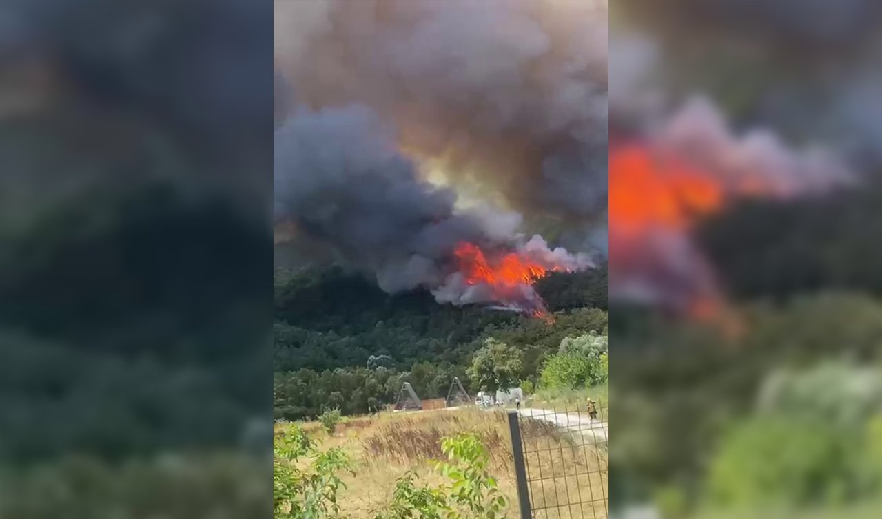 Sakarya’da bir başka noktada daha yangın çıktı