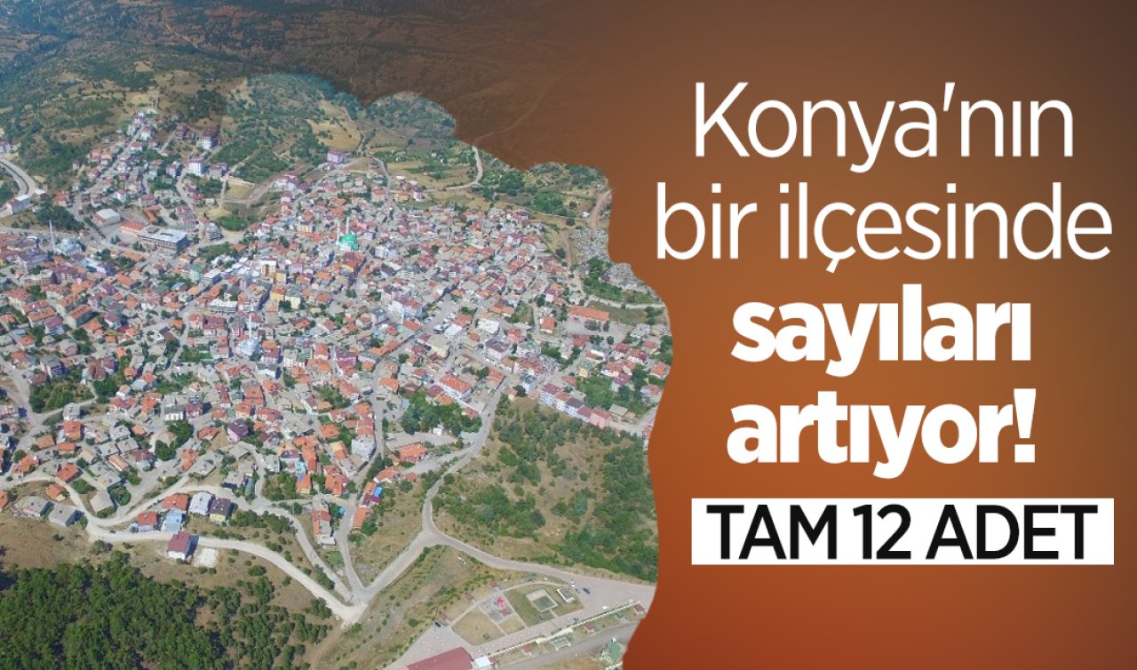 Konya’nın bir ilçesinde sayıları artıyor! 