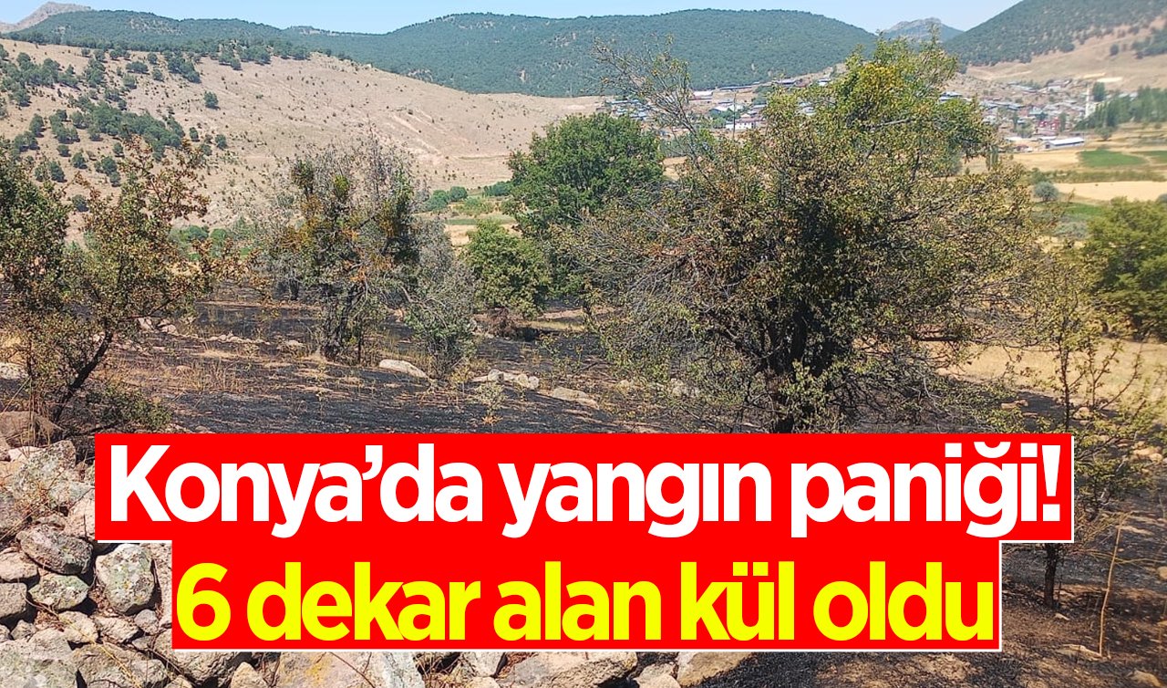 Konya’da yangın paniği: 6 dekar alan kül oldu!