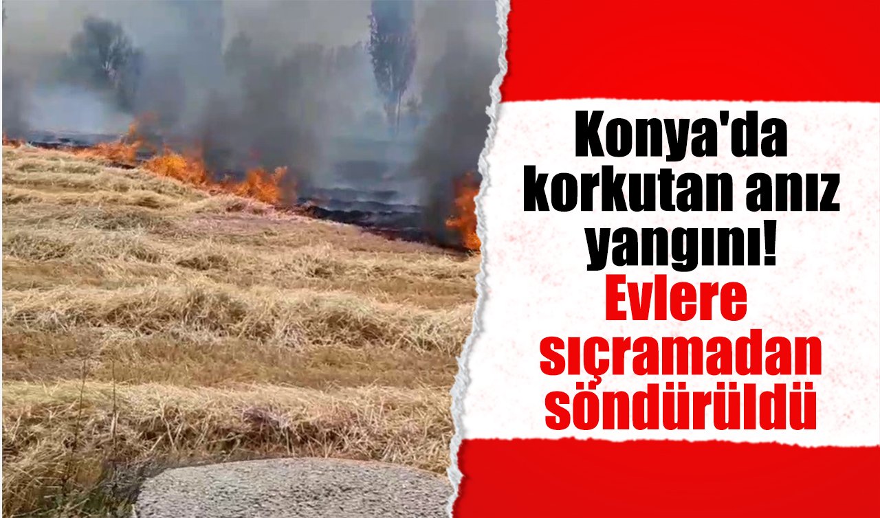 Konya’da korkutan anız yangını! Evlere sıçramadan söndürüldü