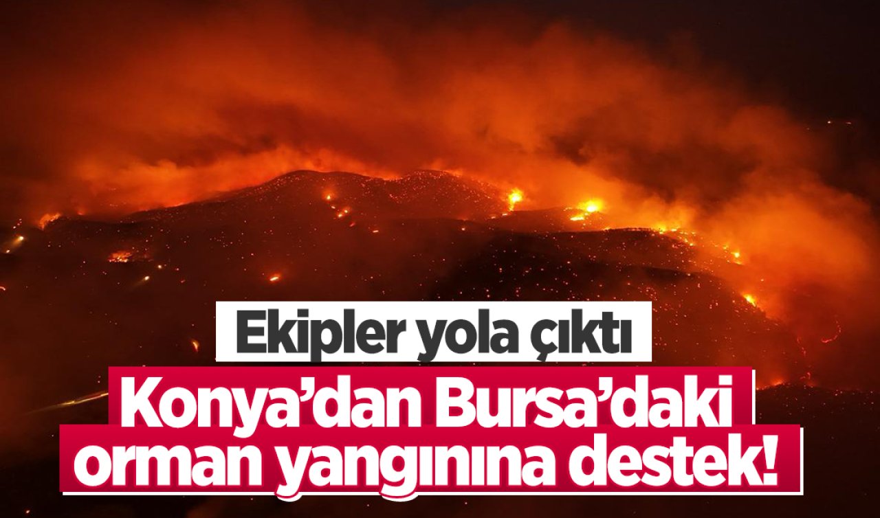 Konya’dan Bursa’daki Orman Yangınına Destek! Ekipler Yola Çıktı