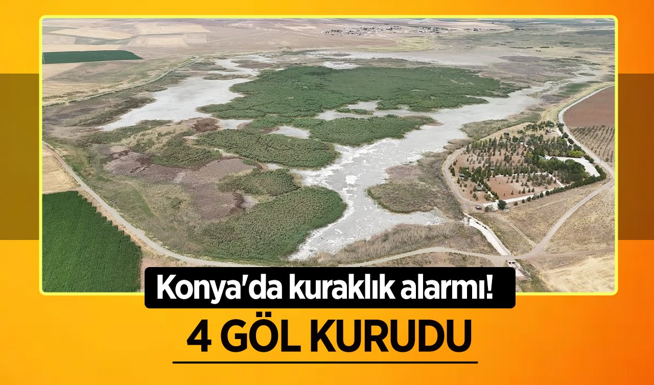 Konya’da kuraklık alarmı! 4 göl kurudu 