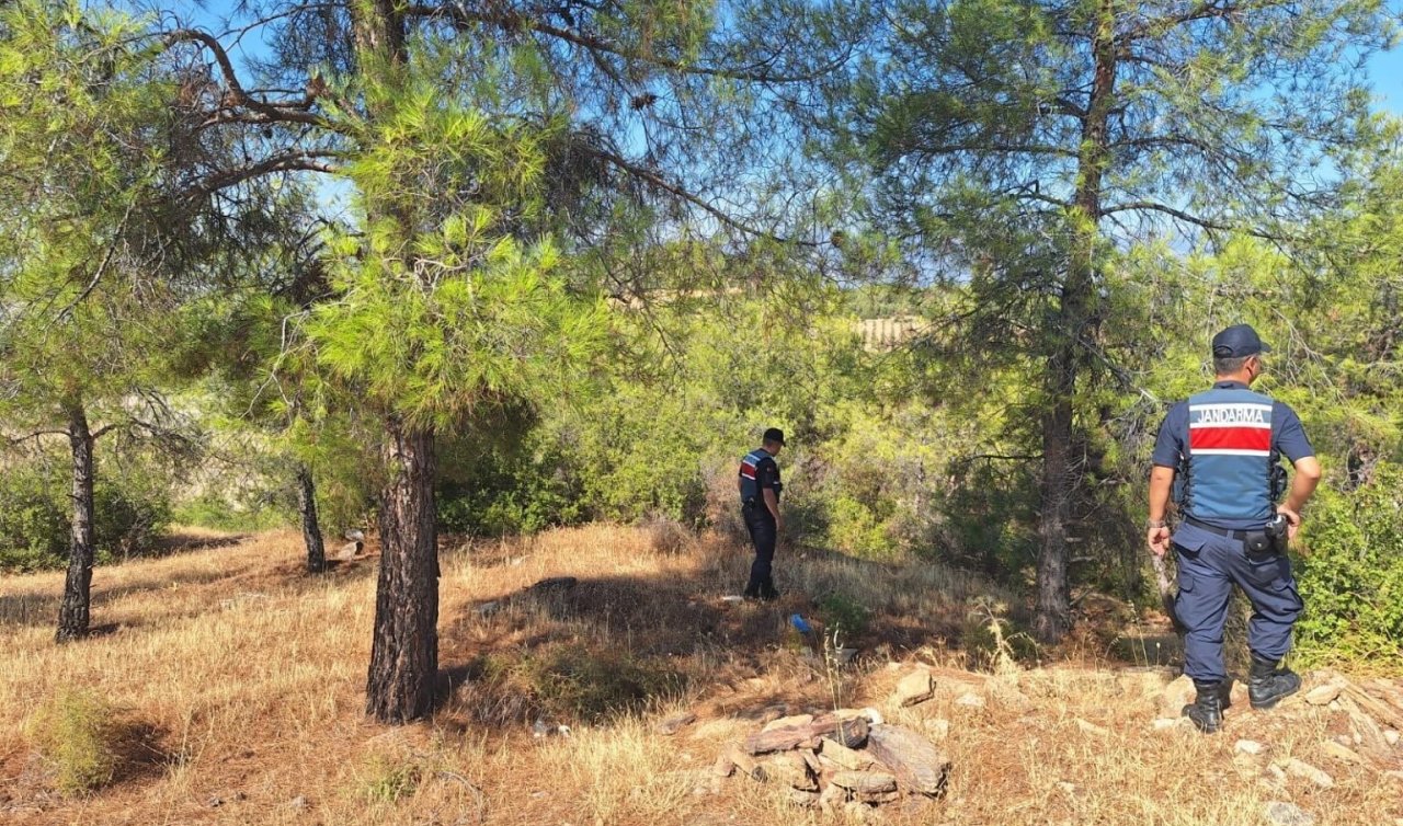 Ormanlara giren ve ateş yakanlara ceza yağdı