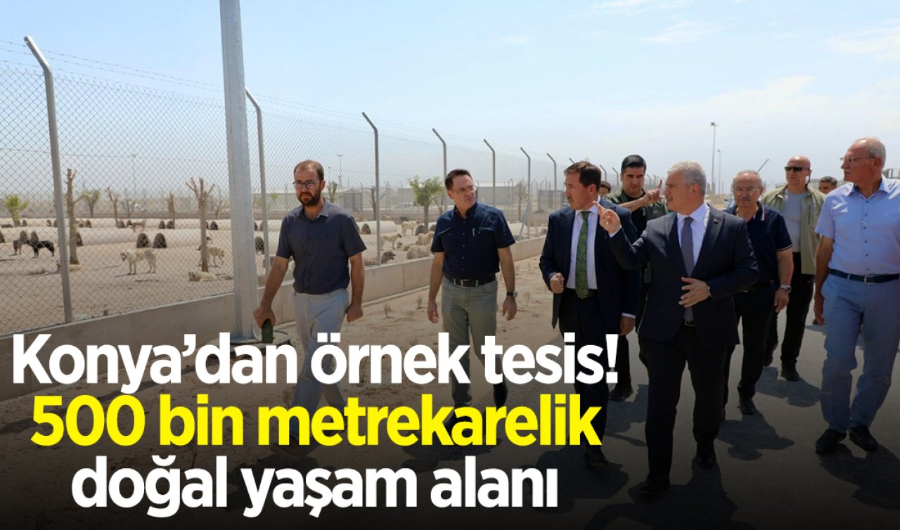 Konya’dan örnek tesis: 500 bin metrekarelik doğal yaşam alanı