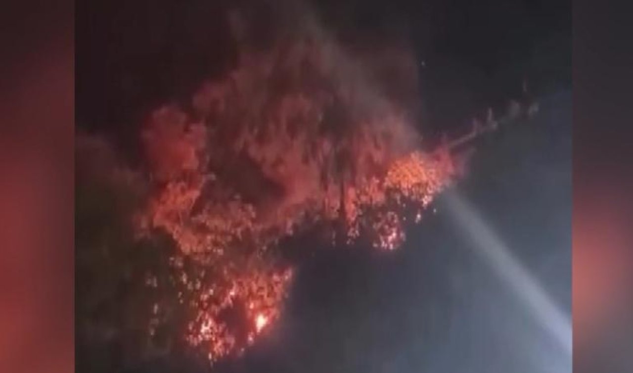 Havai fişekle yangın çıkaran şüphelilere ağaç dikme cezası