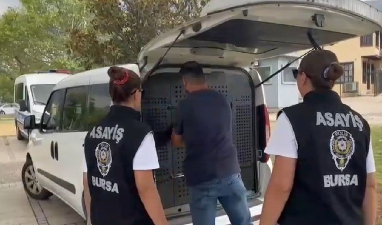 Kadının cüzdanını çalan şüpheliyi güven timleri yakaladı! 