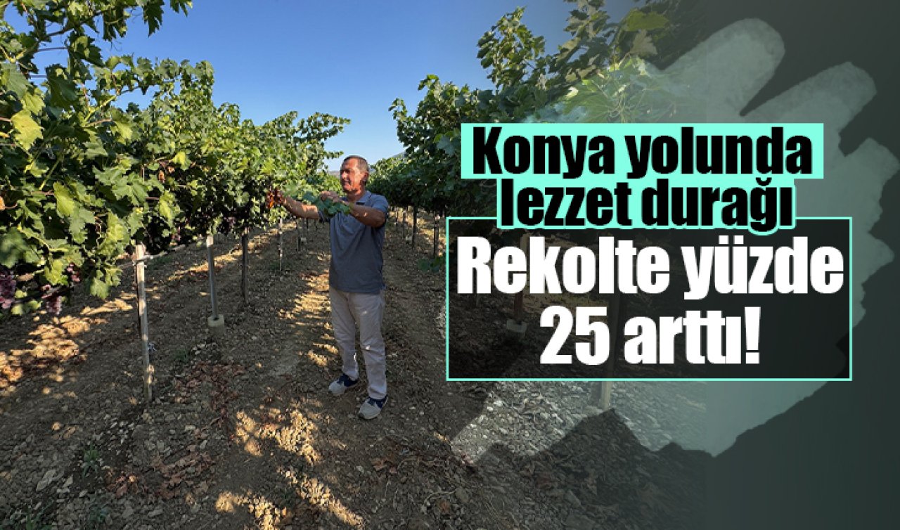 Konya yolunda lezzet durağı: Rekolte yüzde 25 arttı! 