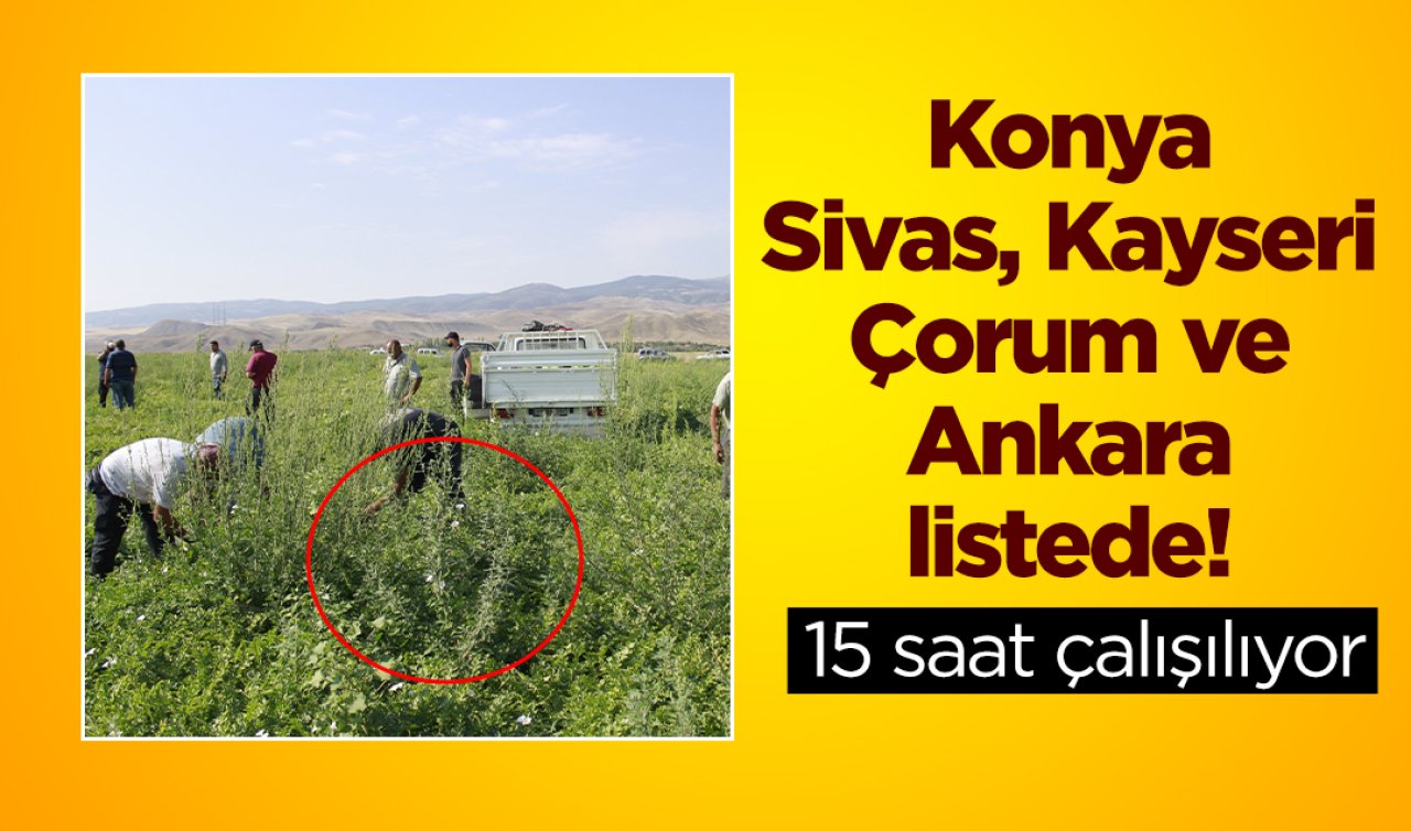 Konya, Sivas, Kayseri, Çorum ve Ankara listede! 15 saat çalışılıyor 