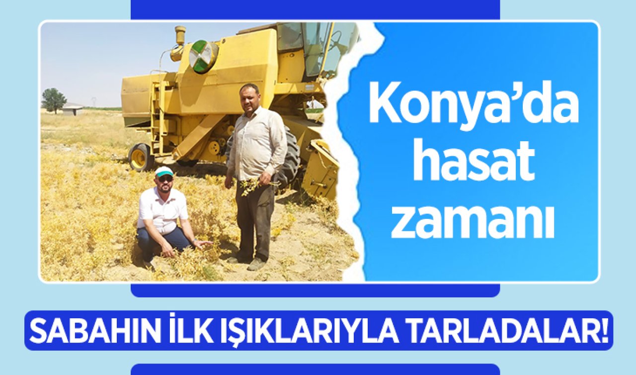 Sabahın ilk ışıklarıyla tarladalar! Konya’da hasat zamanı