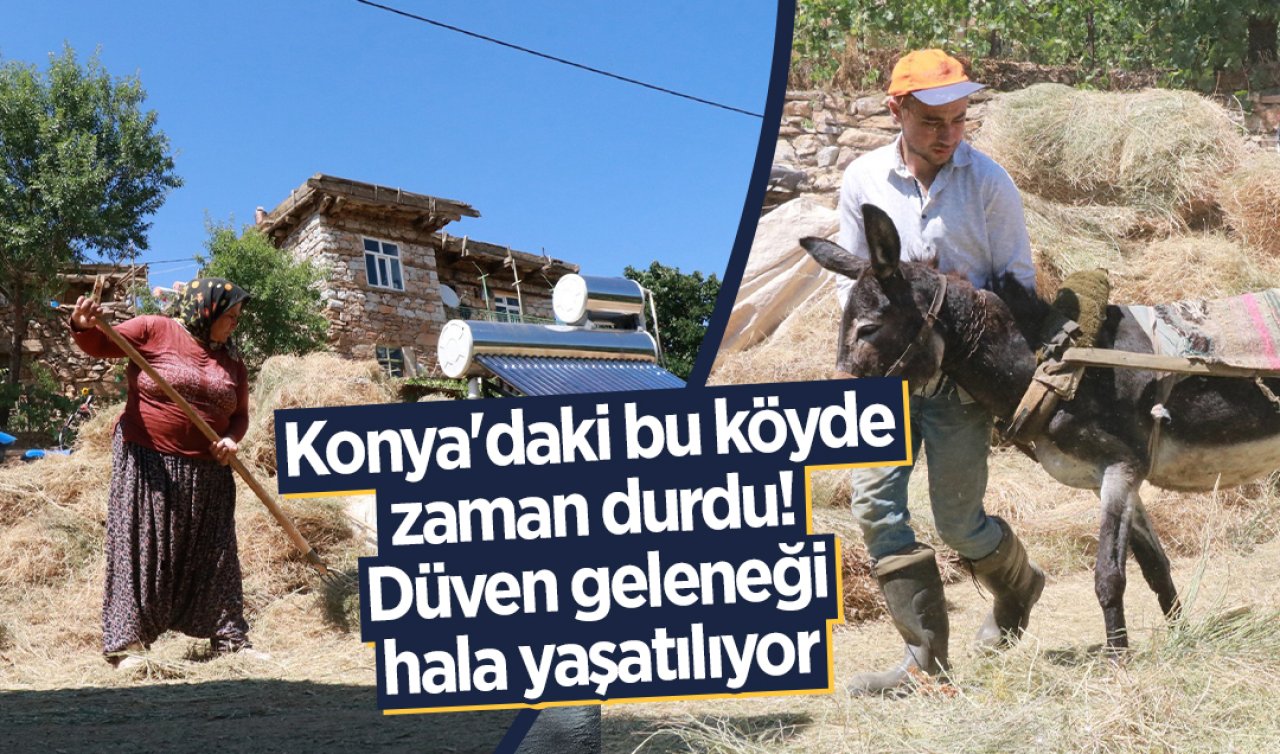 Konya’daki bu köyde zaman durdu! Düven geleneği hala yaşatılıyor 