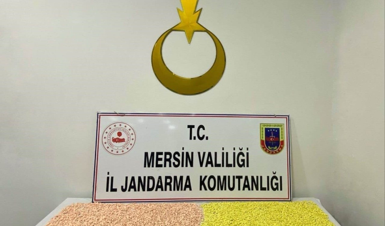 Jandarma operasyonunda binlerce uyuşturucu hap ele geçirildi: 2 kişi tutuklandı