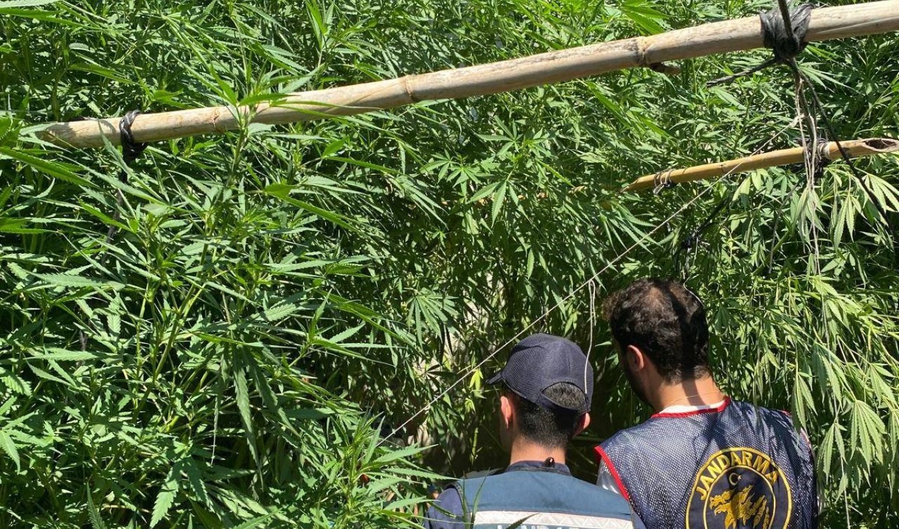 Evinin bahçesine saklamak istedi narkotik köpeğine takıldı