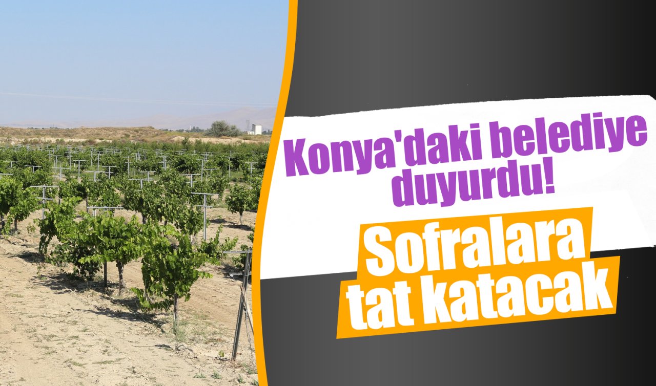 Konya’daki belediye duyurdu! Sofralara tat katacak 