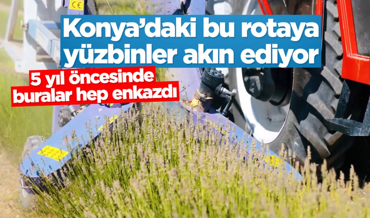 Konya’daki 340 bin metrekarelik alanda üretiliyor! 5 yıl önce sadece hayaldi 