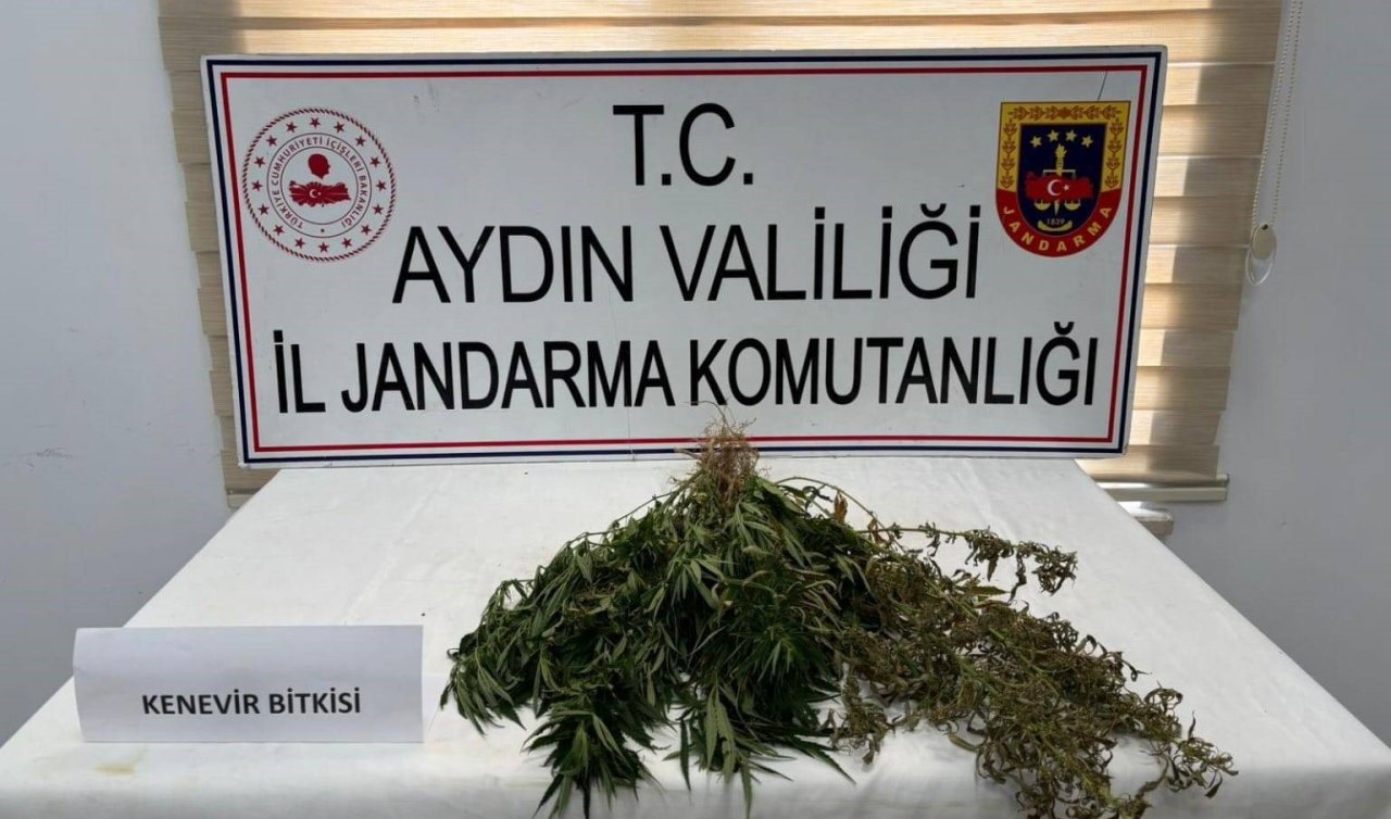 Uyuşturucu satıcılarına operasyon: 13 şüpheli yakalandı