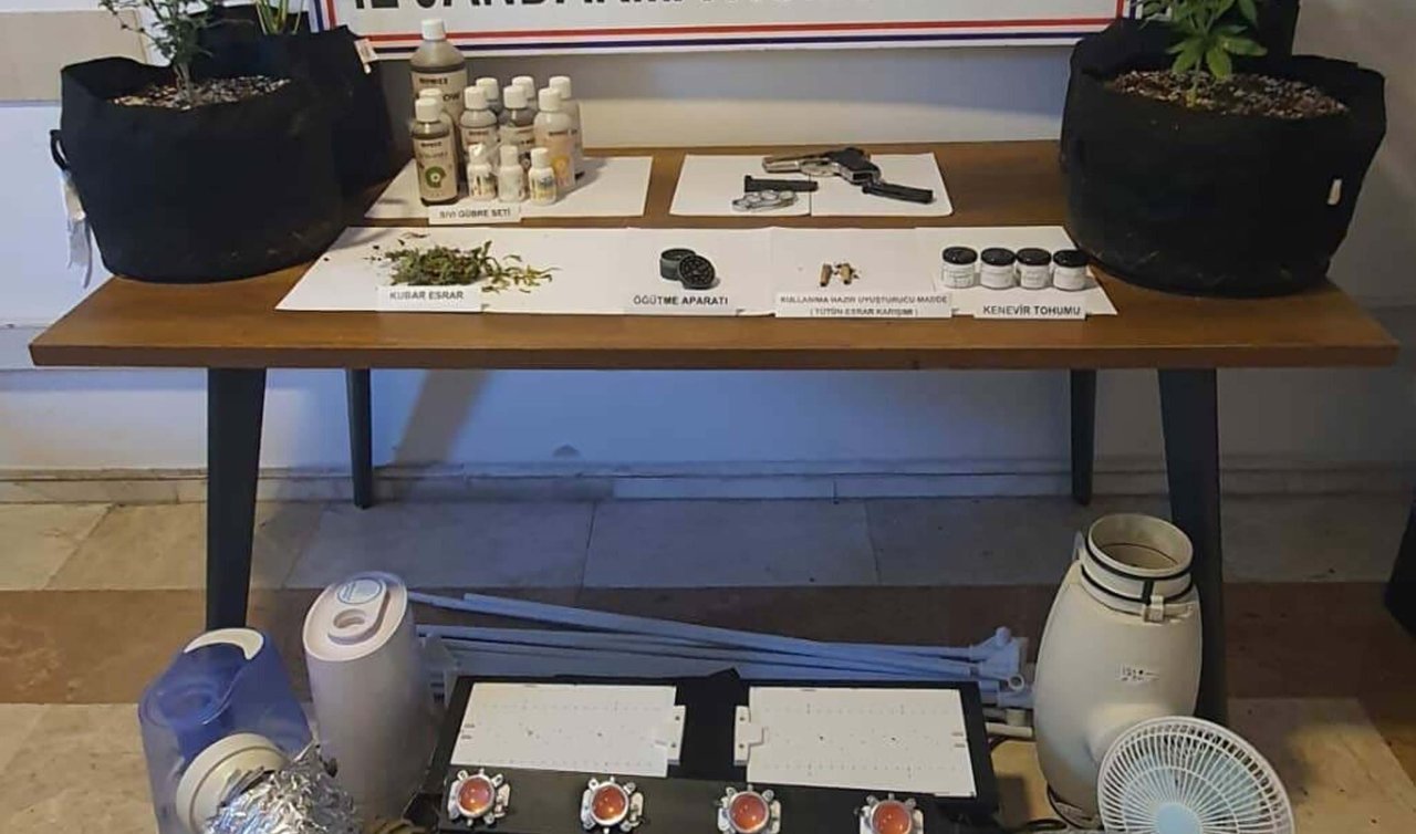 Evde iklimlendirme sistemiyle uyuşturucu yetiştiren 2 şüpheliye gözaltı