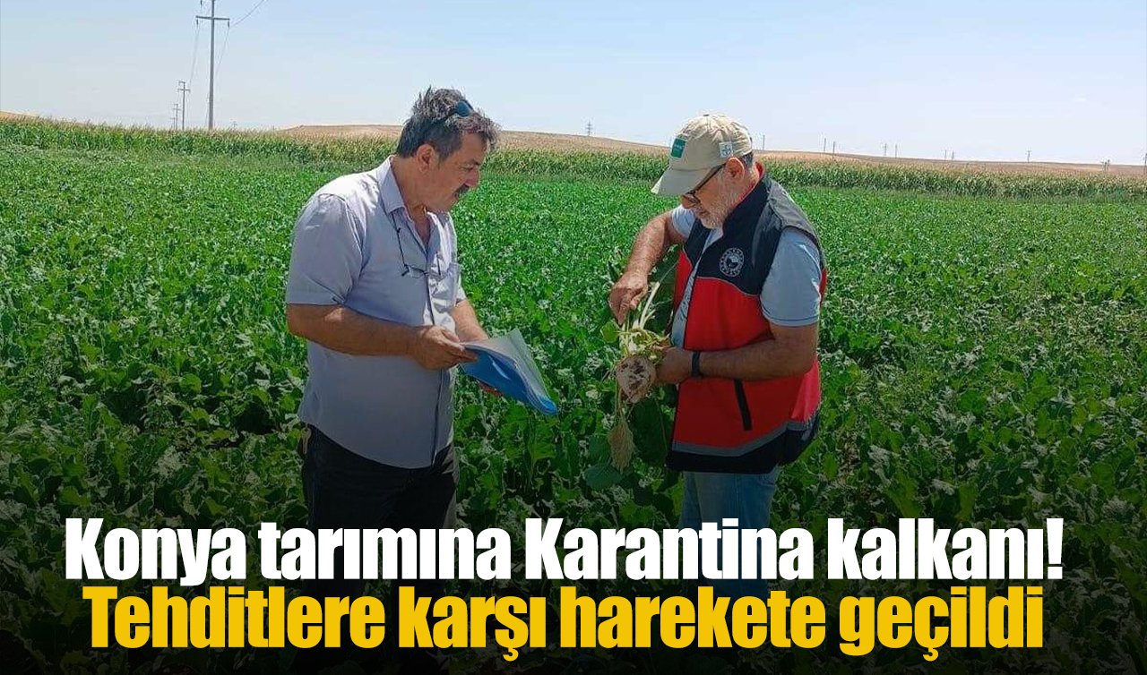 Konya tarımına Karantina kalkanı! Tehditlere karşı harekete geçildi