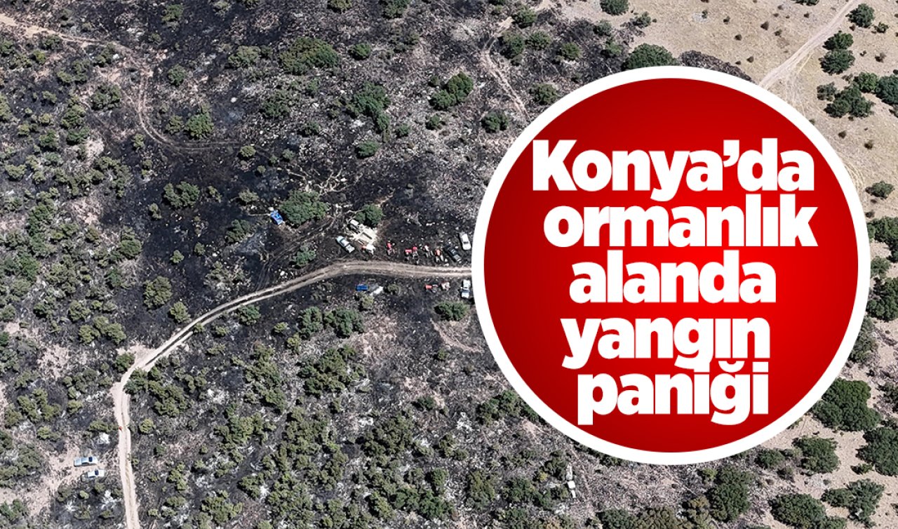  Konya’da ormanlık alanda yangın paniği