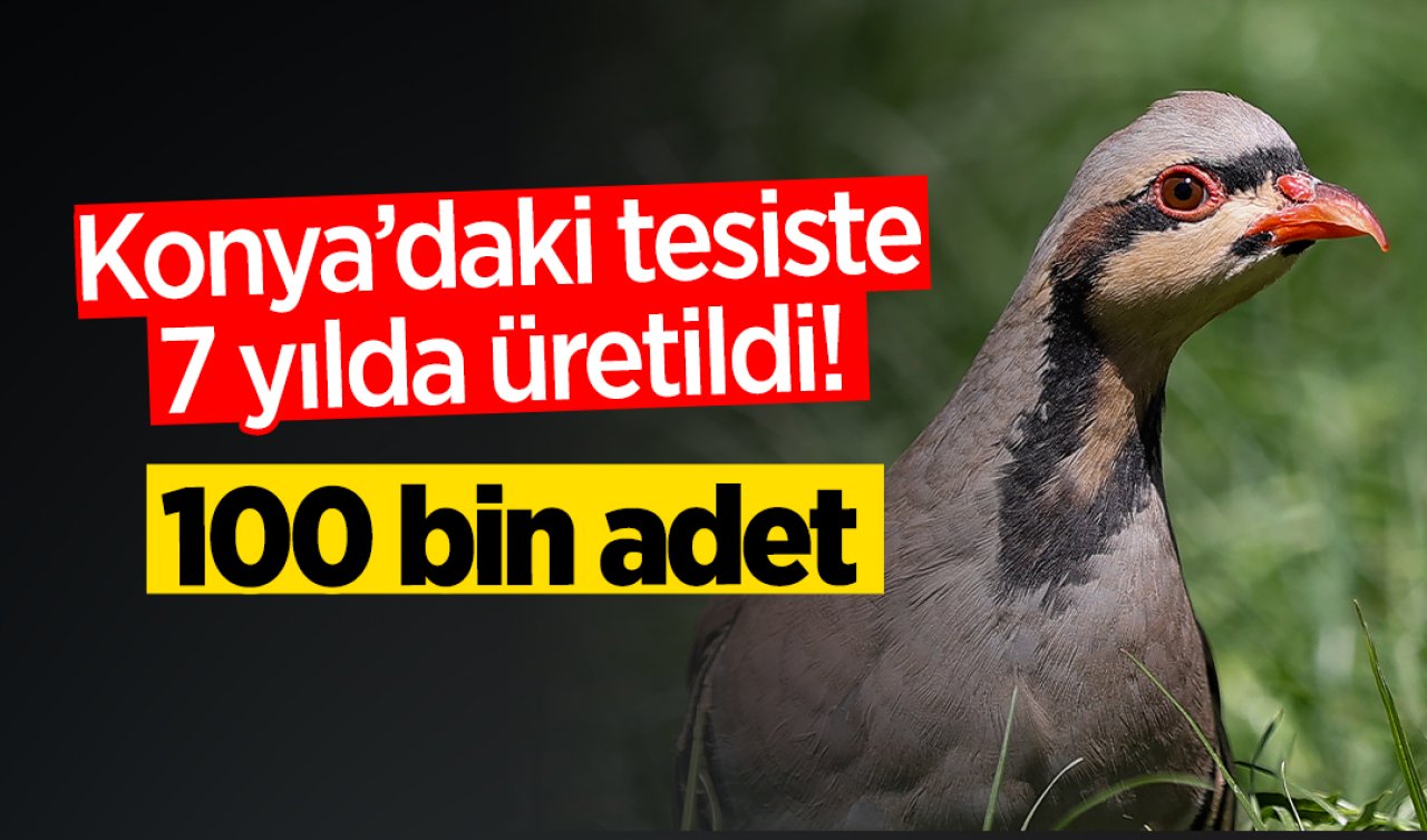 Konya’daki tesiste 7 yılda üretildi! 100 bin adet