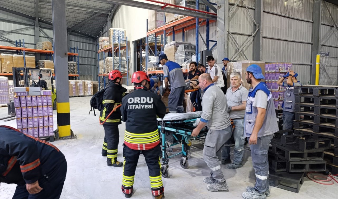 Fabrikada işçi palet makinesine sıkıştı