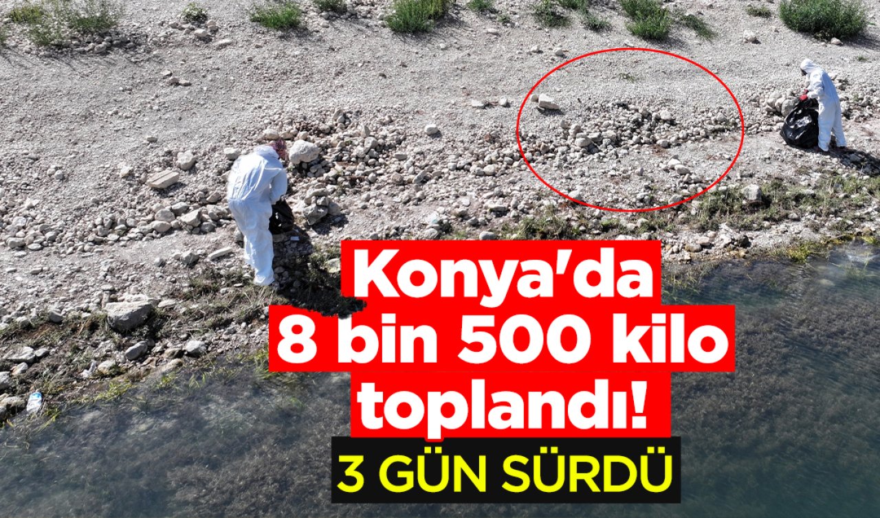 Konya’da 8 bin 500 kilo toplandı! Tam 3 gün sürdü 