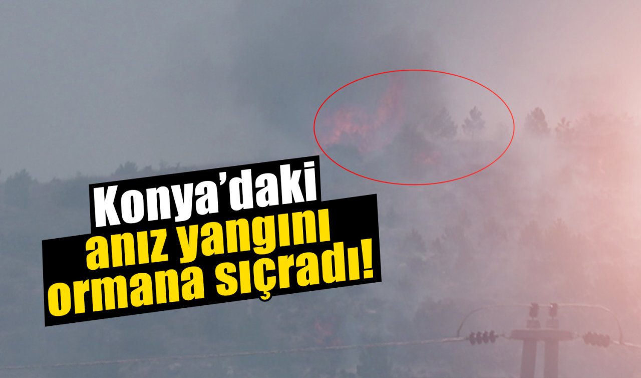 Konya’daki anız yangını ormana sıçradı! 