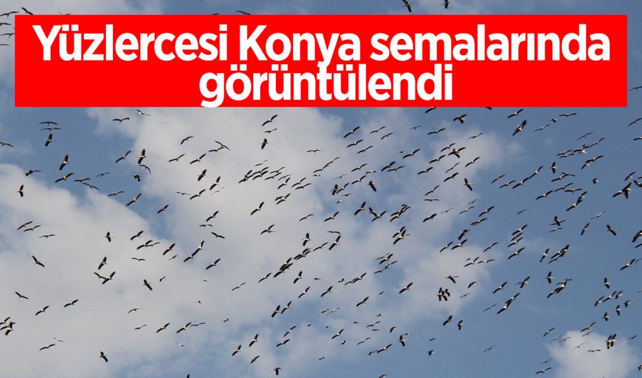 Yüzlercesi Konya semalarında görüntülendi