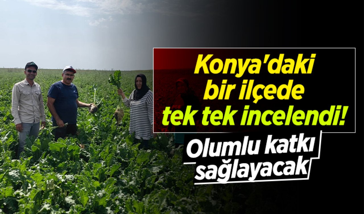 Konya’daki bir ilçede tek tek incelendi! Olumlu katkı sağlayacak 