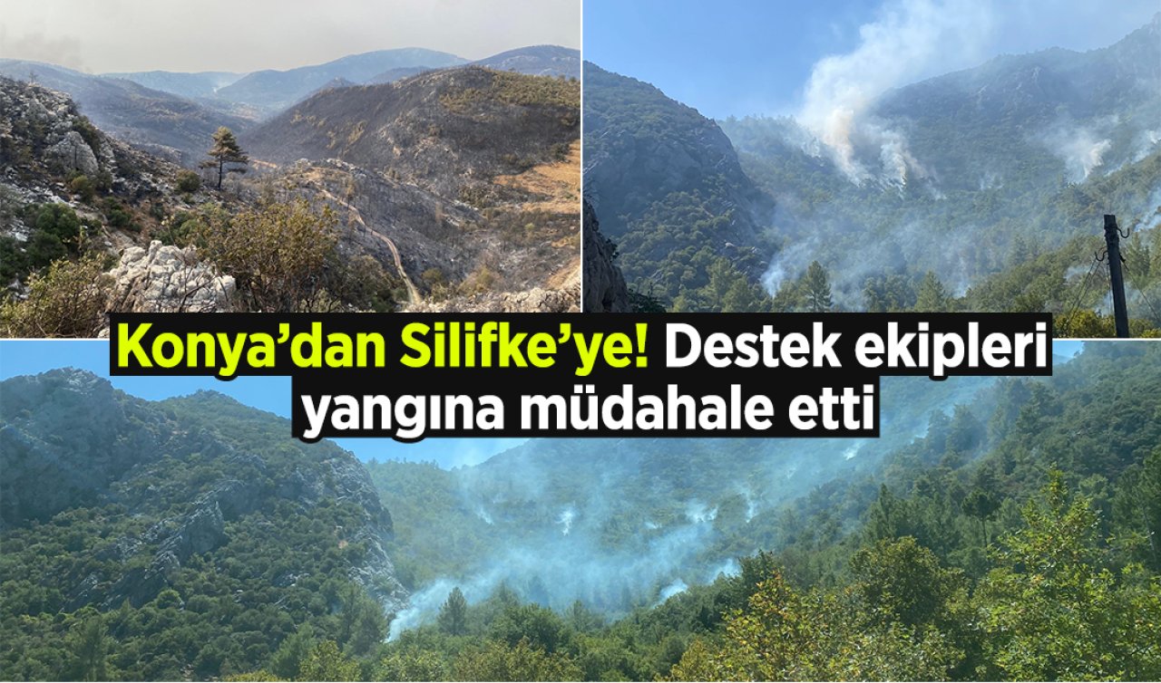 Konya’dan Silifke’ye! Destek ekipleri yangına müdahale etti