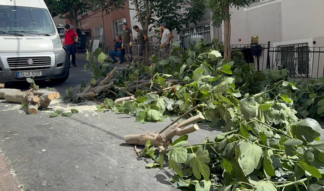 İstanbul’da fırtına: Ağaçlar devrildi iki kişi yaralandı