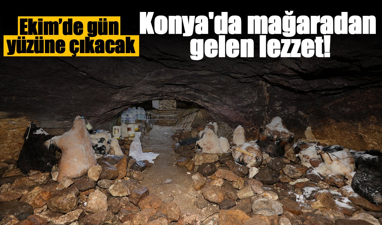Konya’da mağaradan gelen lezzet! Ekim’de gün yüzüne çıkacak
