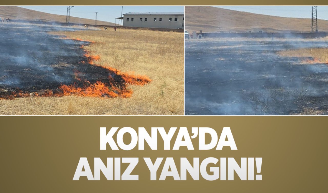 Konya’da anız yangını! 