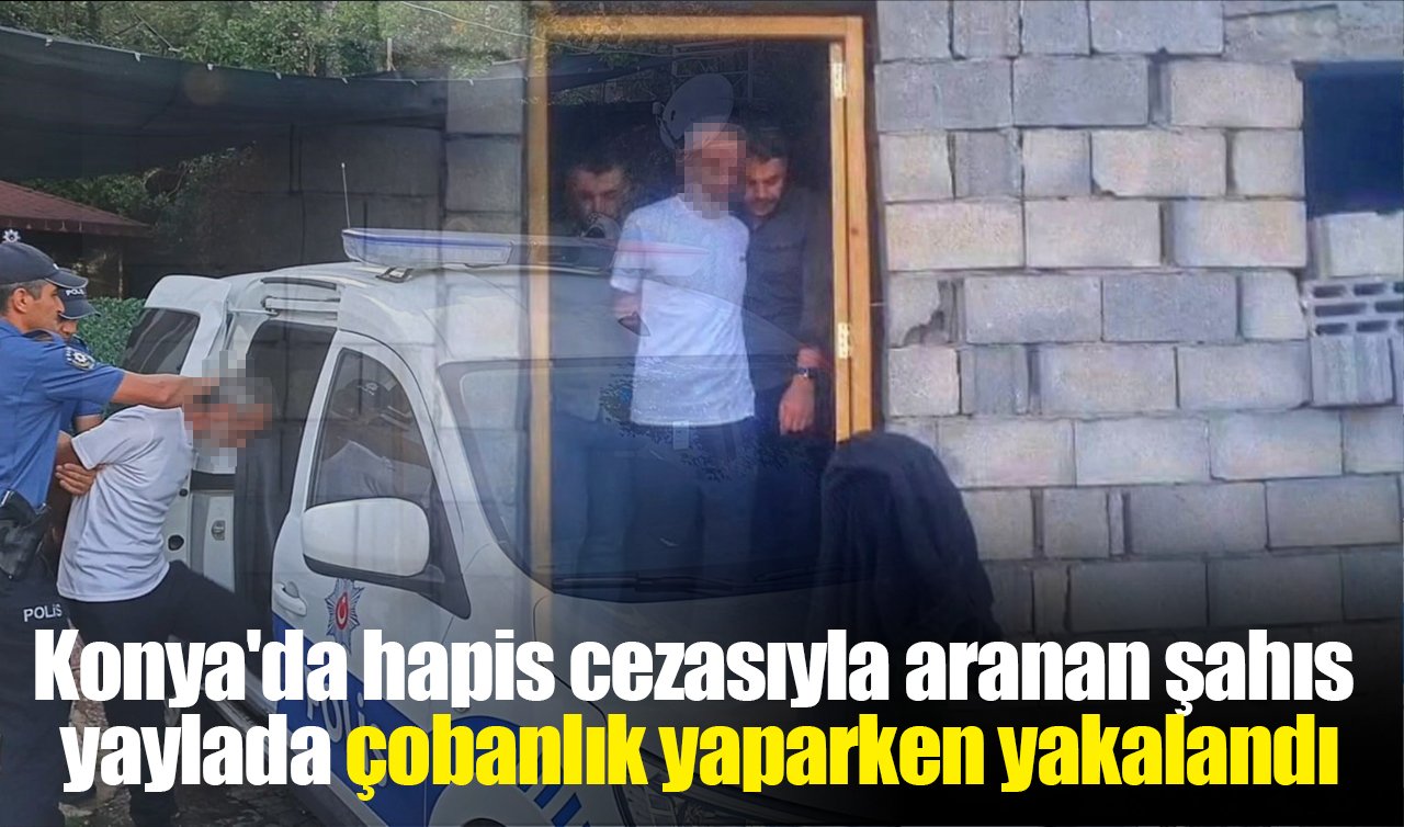 Konya’da hapis cezasıyla aranan şahıs yaylada çobanlık yaparken yakalandı