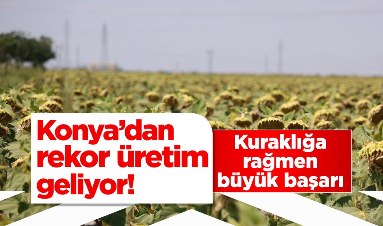 Konya’dan rekor üretim geliyor! Kuraklığa rağmen büyük başarı