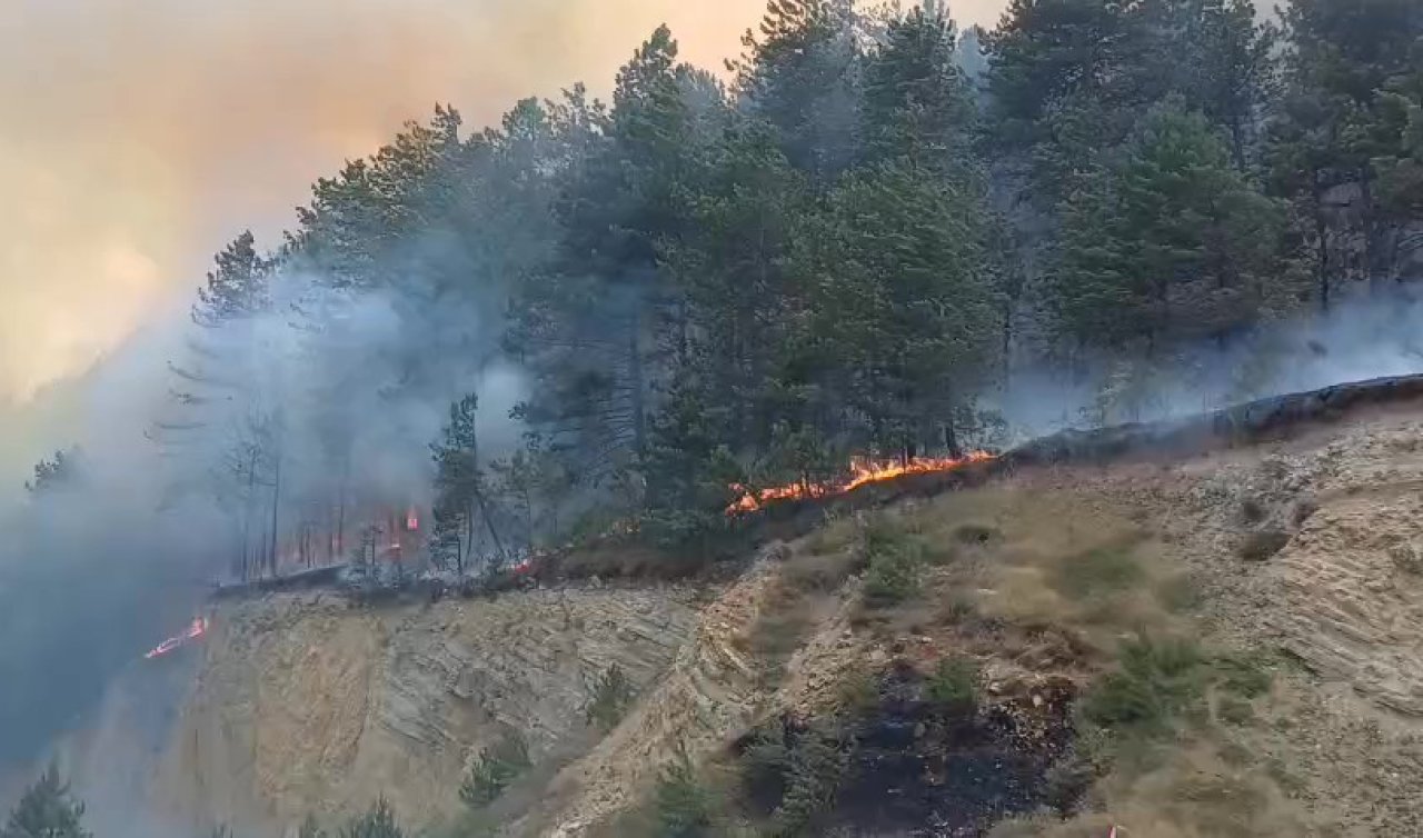 Bolu’da orman yangını başladı: Havadan ve karadan müdahale sürüyor